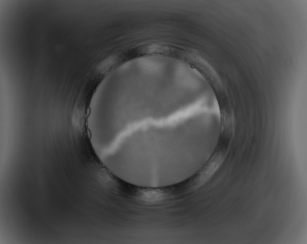 X0000086760189200705111722