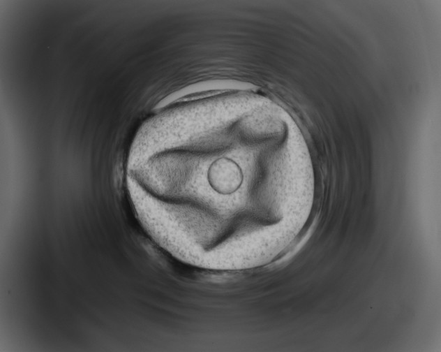 X0000086760190200705111722