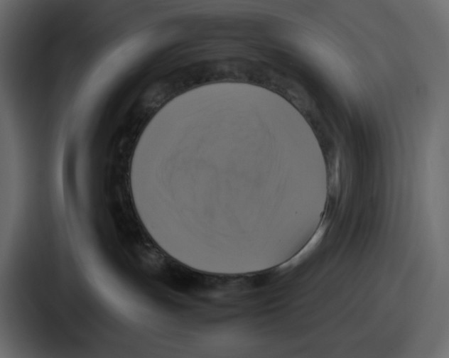 X0000086760191200705111722