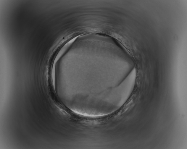 X0000086760194200705111722