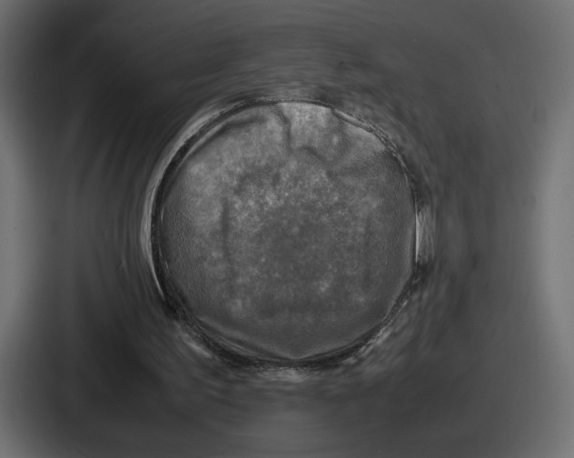 X0000086760195200705111722