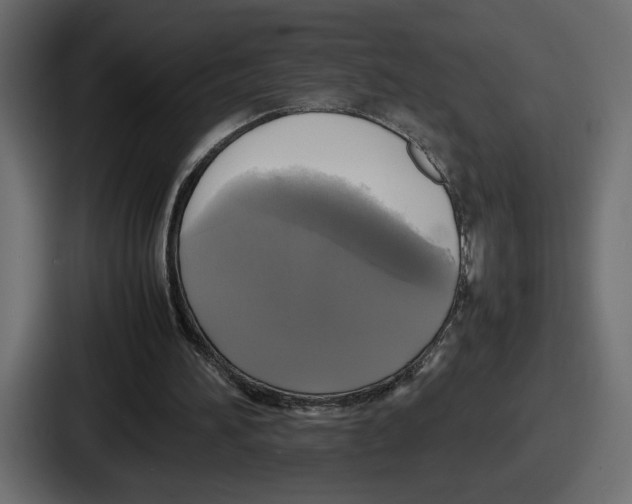 X0000086760196200705111722