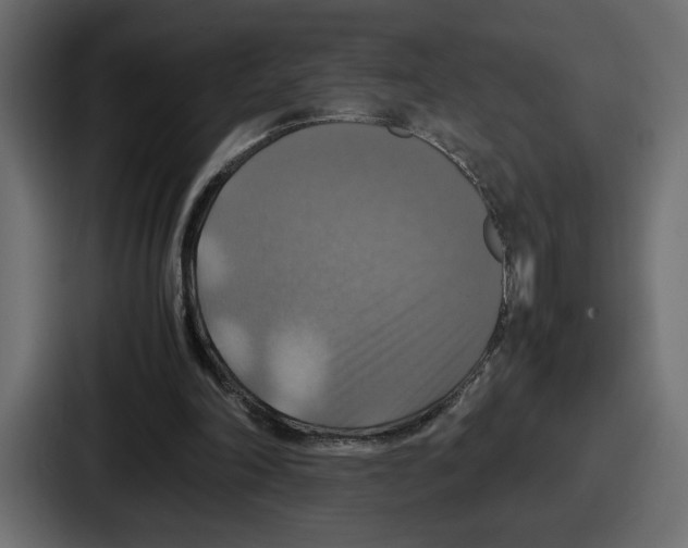 X0000086760198200705111722
