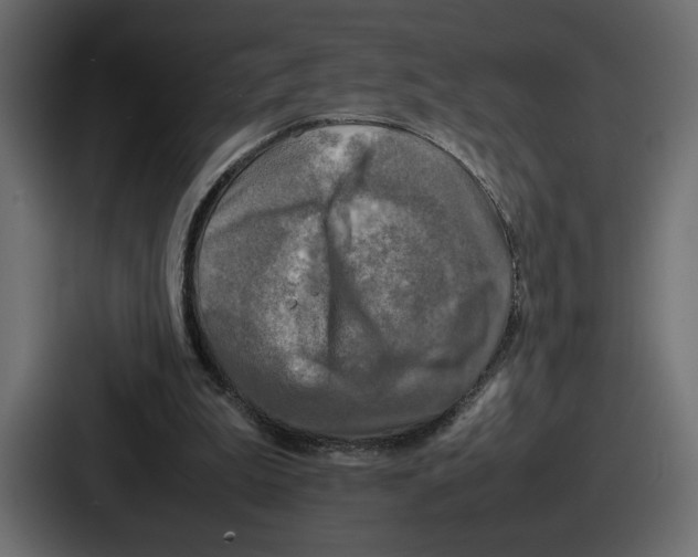 X0000086760199200705111722