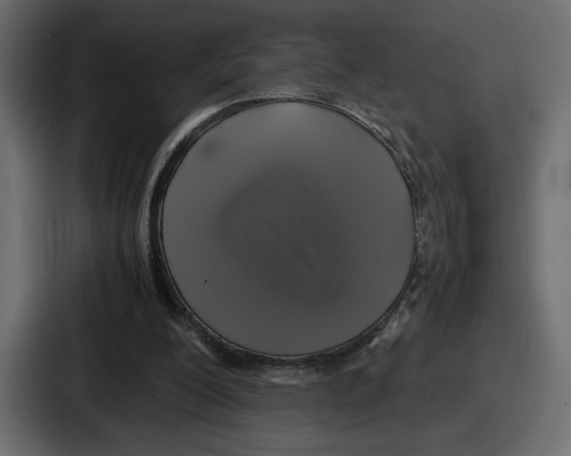 X0000086760200200705111722