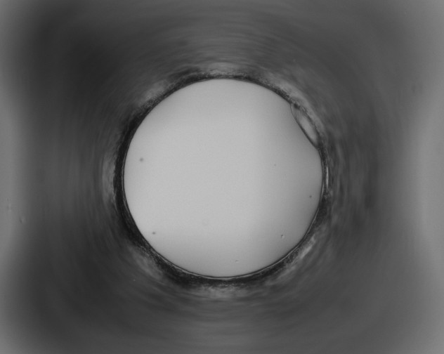X0000086760201200705111722