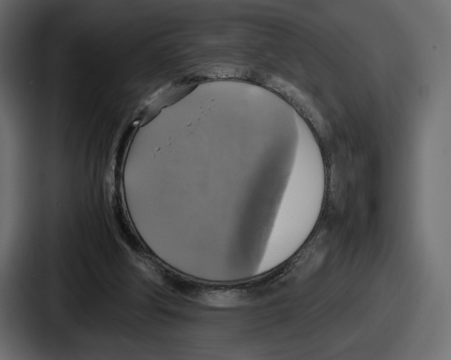 X0000086760202200705111722