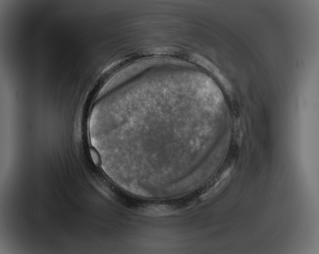 X0000086760203200705111722