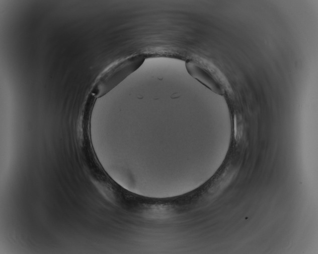 X0000086760204200705111722