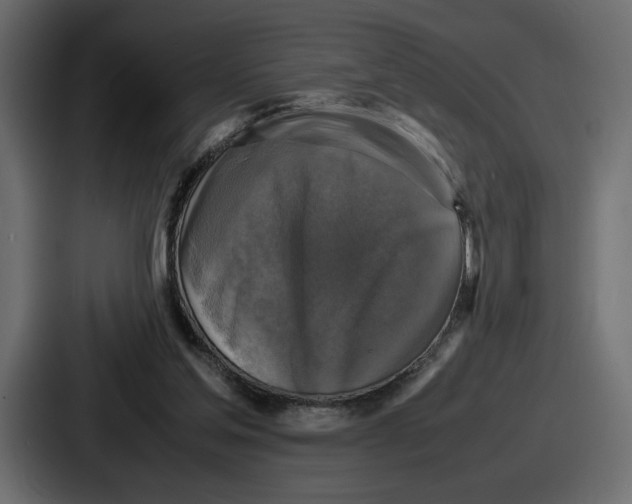 X0000086760205200705111721