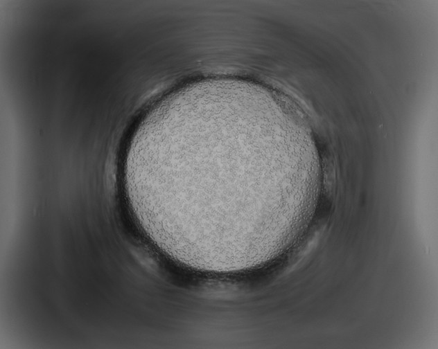 X0000086760207200705111721
