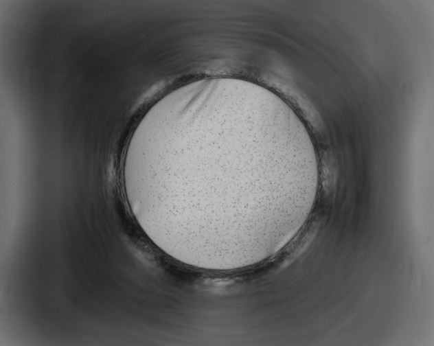 X0000086760208200705111721