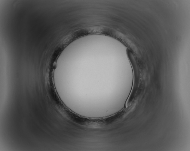 X0000086760209200705111721