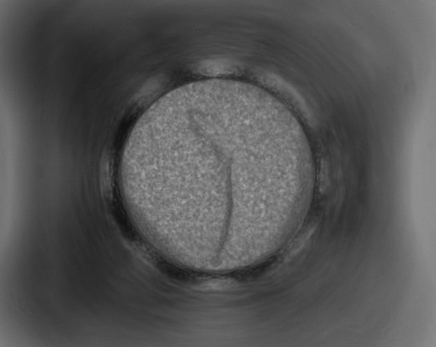X0000086760210200705111721