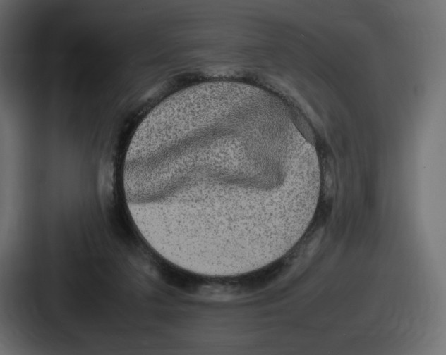 X0000086760211200705111721