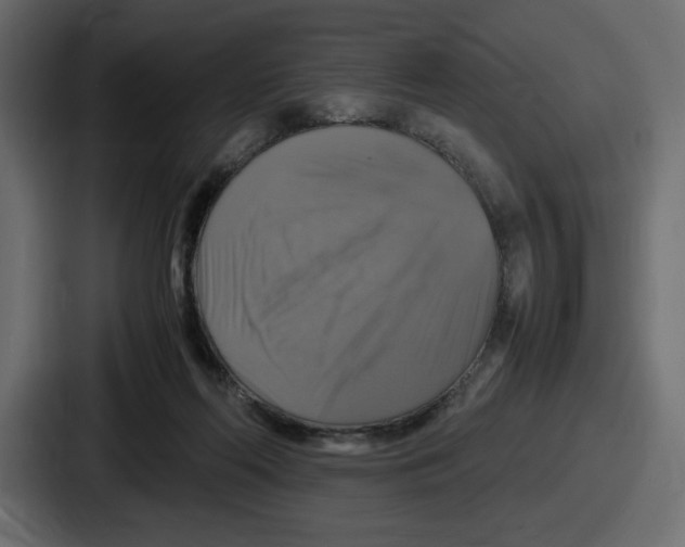 X0000086760214200705111721
