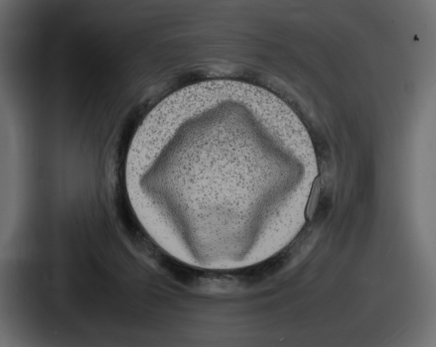 X0000086760215200705111721