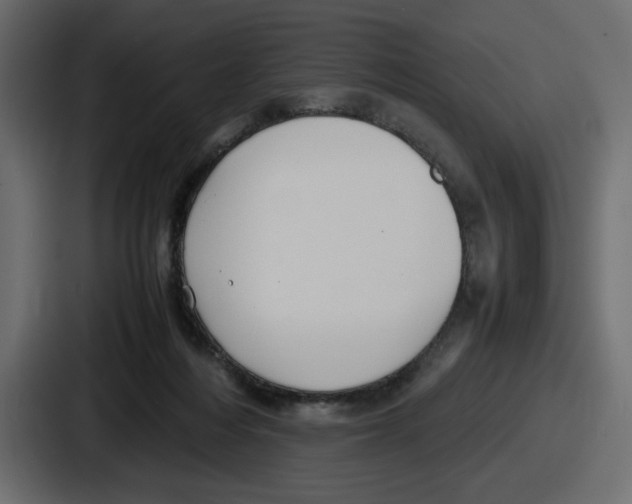 X0000086760216200705111721