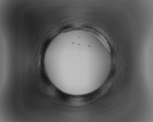 X0000086760217200705111721