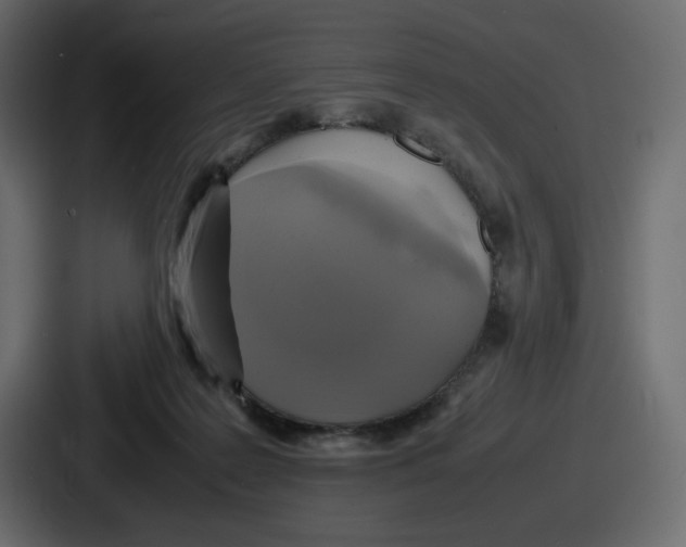 X0000086760219200705111721
