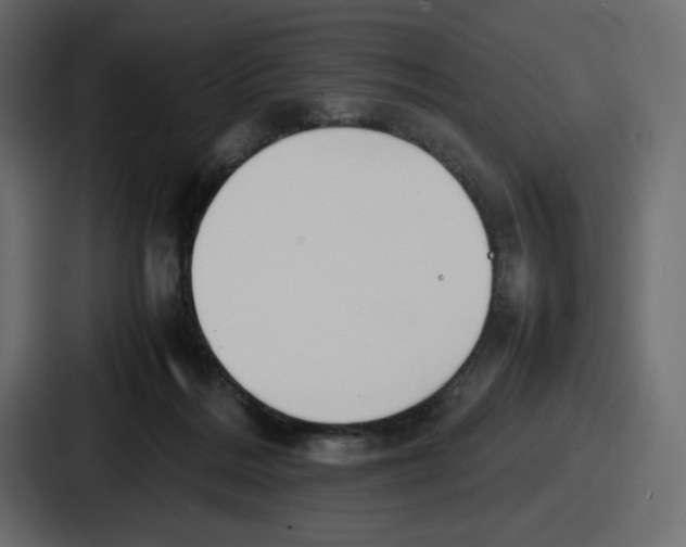 X0000086760220200705111721