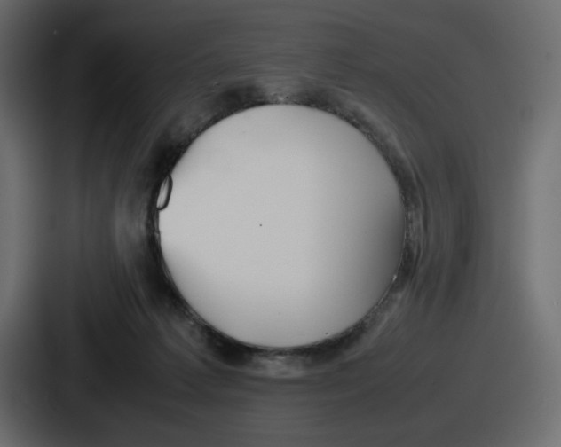 X0000086760221200705111721