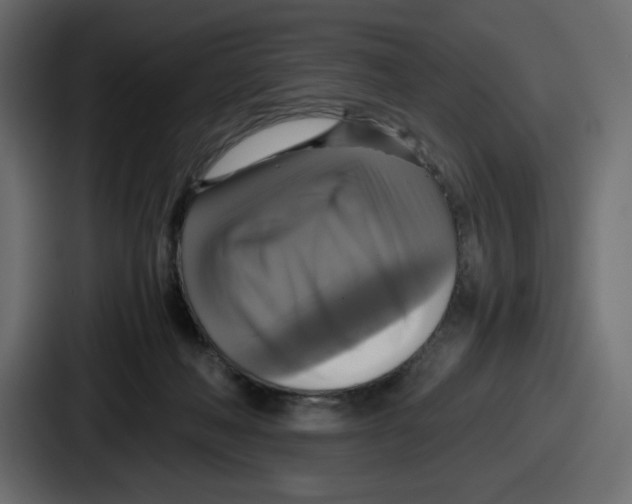 X0000086760222200705111721