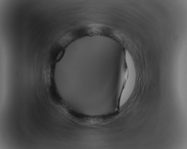 X0000086760223200705111721