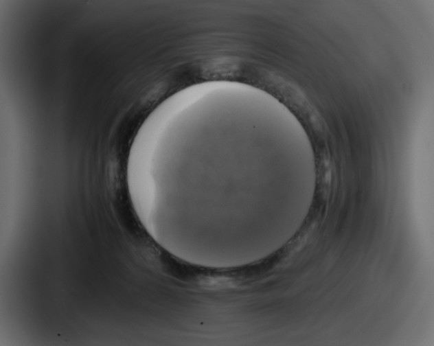 X0000086760224200705111721