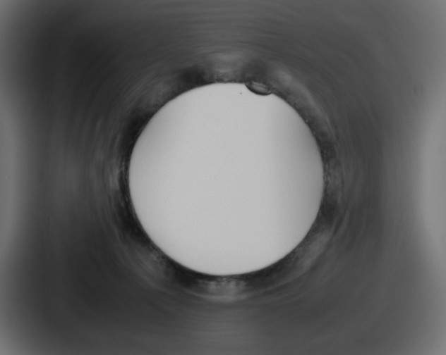 X0000086760225200705111721