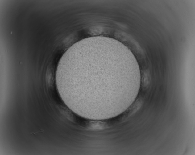 X0000086760226200705111721