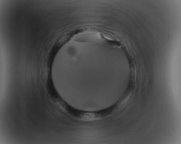 X0000086760227200705111721