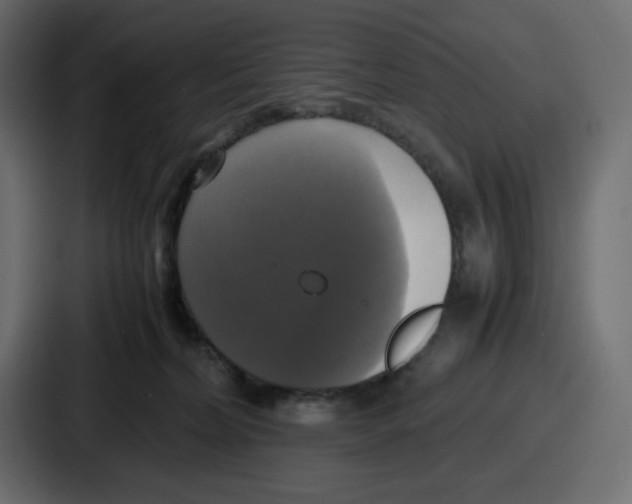 X0000086760228200705111721