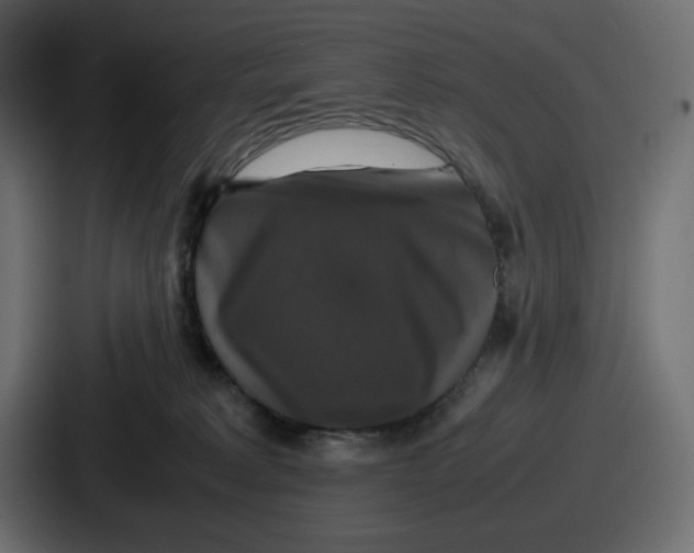 X0000086760229200705111721
