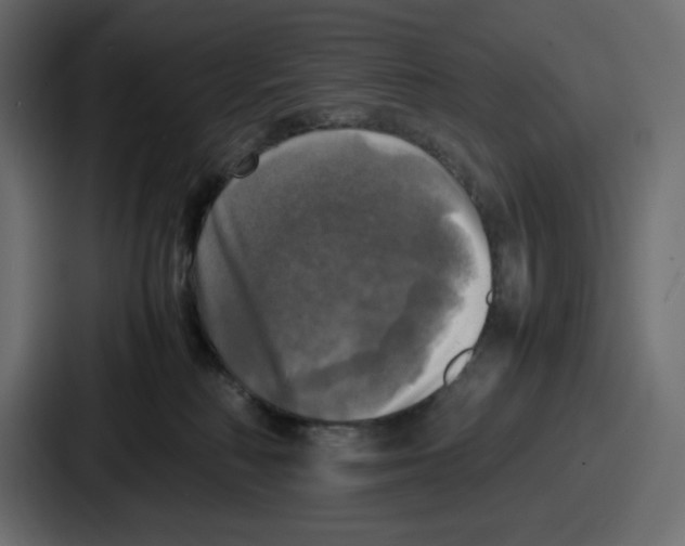 X0000086760230200705111721