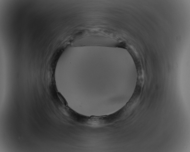 X0000086760231200705111721