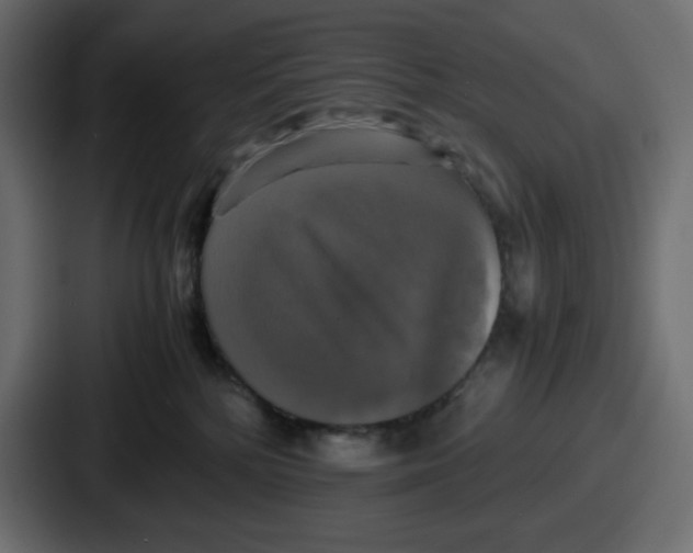 X0000086760232200705111721