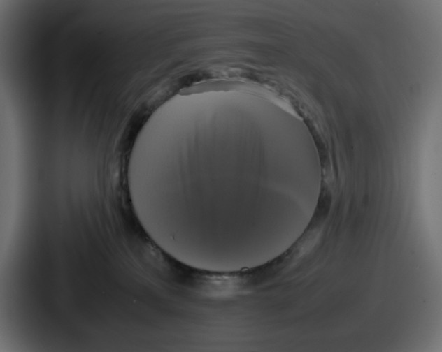 X0000086760233200705111721