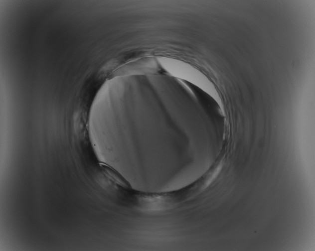X0000086760237200705111721