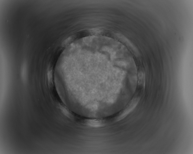 X0000086760238200705111721