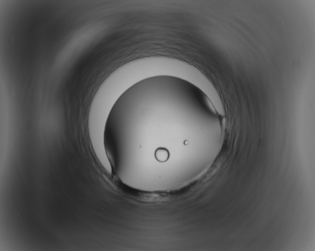 X0000086760239200705111721