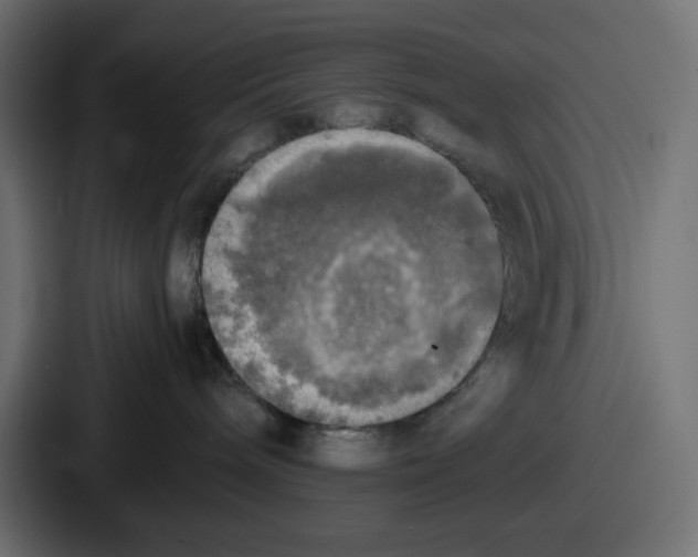 X0000086760240200705111721