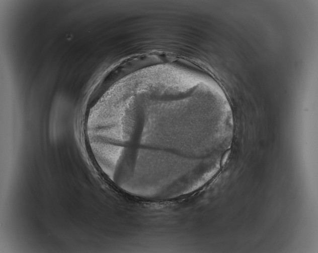 X0000086760241200705111720