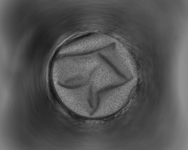 X0000086760242200705111720