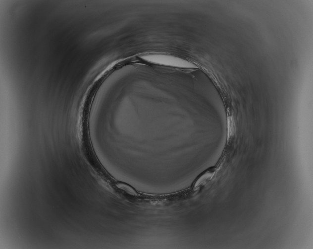 X0000086760243200705111720