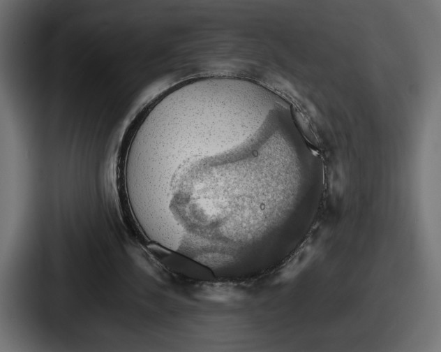 X0000086760244200705111720