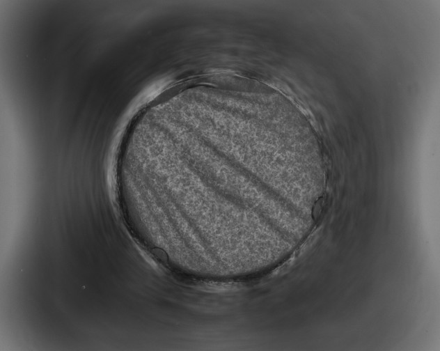 X0000086760245200705111720