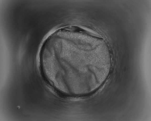 X0000086760246200705111720