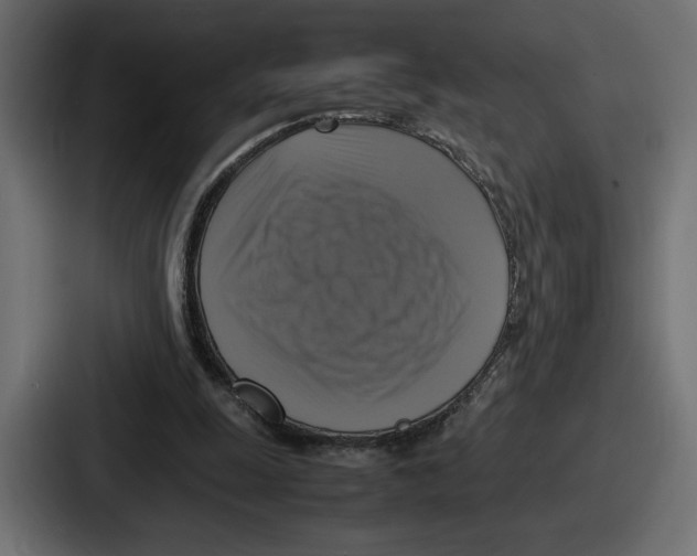 X0000086760247200705111720