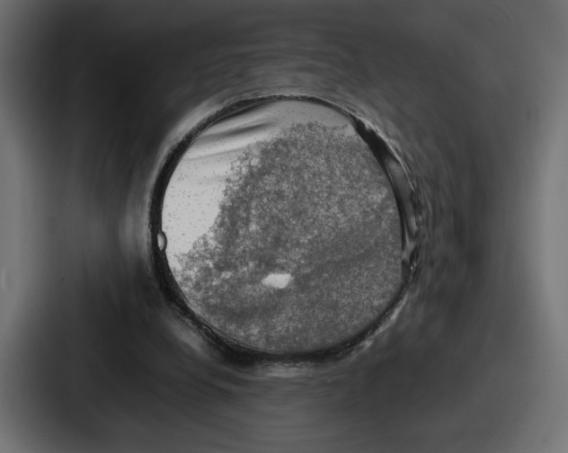 X0000086760248200705111720